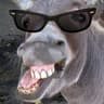 HyperDonkey