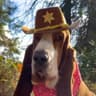 Prono enjoer dog