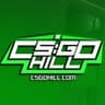 CSGOHill Bot #2