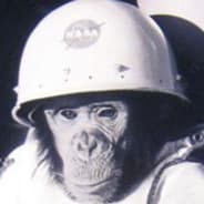 Space_Monkey