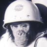 Space_Monkey