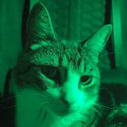 Mr.Light