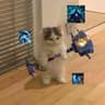 Liquid