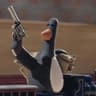 FeatherMcgraw