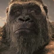 Guerrilla Gorilla
