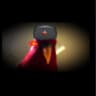 Red Bird