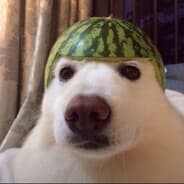 xQQx