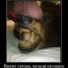 eby byrom?