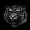 BLaCk_TiGeR