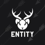 Entity