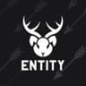 Entity