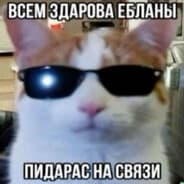 кок сакер