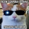 кок сакер