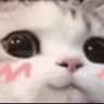 leley ;