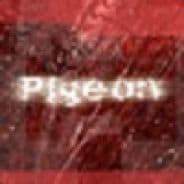 Pigeon