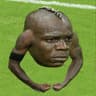 Torfol