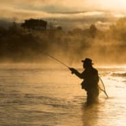 Fisher the one and only