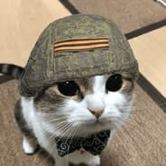 ich ich ich