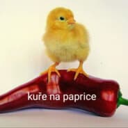 DandaSranda
