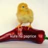 DandaSranda
