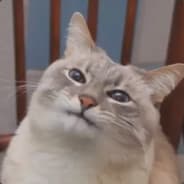 DehiDehi