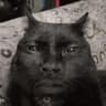 eternal tilted (schizophrenic)