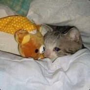 dont'cry