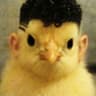 SMB