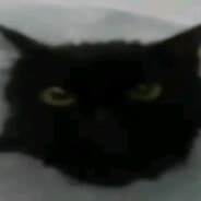 auticci