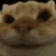 CATNOD