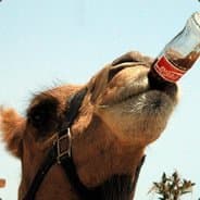 Druitro