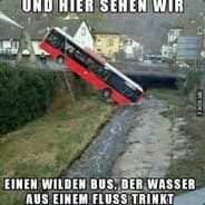 Wilder Bus (VAC)