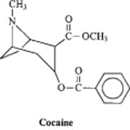 Benzoylmethylecgonine