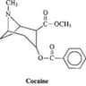 Benzoylmethylecgonine