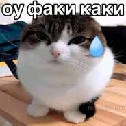 xaxaxa