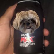 dog2