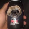 dog2