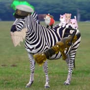 ZEBRA
