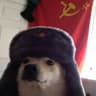 viictorfdezz