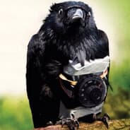 Brother Crow