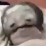 Coal