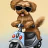 Joy the dog