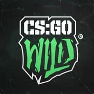 CSGOWild - Trade Bot #5