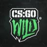 CSGOWild - Trade Bot #5
