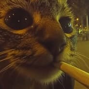 ZockKz