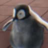 ORTI