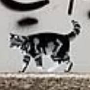 ????????????????????????????