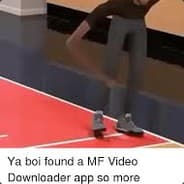xd