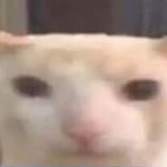 BOT