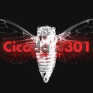 Cicada69